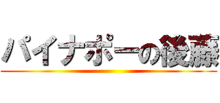 パイナポーの後藤 ()