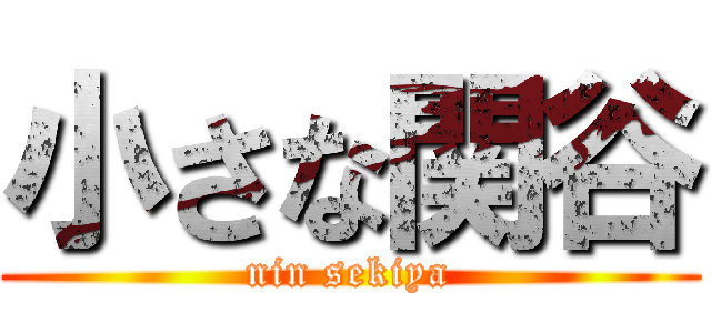 小さな関谷 (nin sekiya)