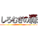 しろむぎの森 (でみどーふとねこ)