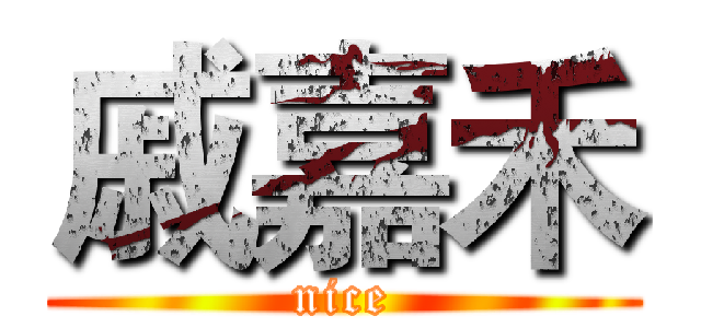 戚嘉禾 (nice)
