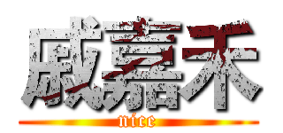 戚嘉禾 (nice)
