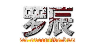 罗辰 (Cassel executive branch )