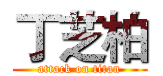 丁芝柏 (attack on titan)