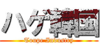 ハゲ韓国 (Toupe Industry)