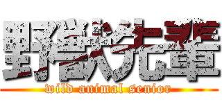 野獣先輩 (wild animal senior)