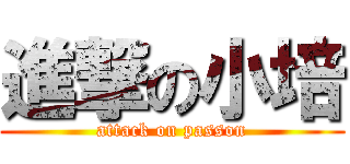 進撃の小培 (attack on passon)