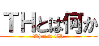 ＴＨとは何か (What is TH)