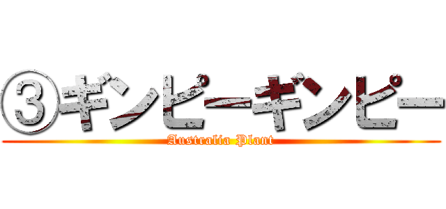 ③ギンピーギンピー (Australia Plant)