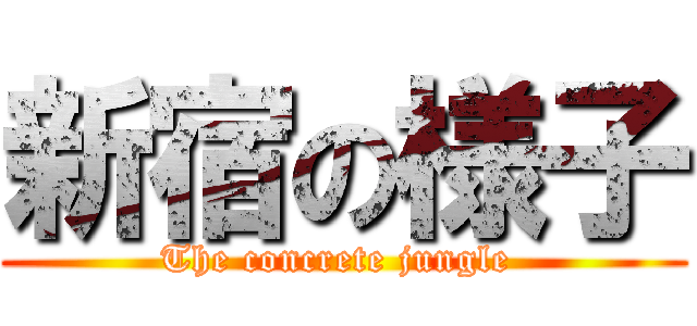 新宿の様子 (The concrete jungle )