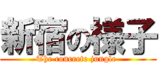 新宿の様子 (The concrete jungle )