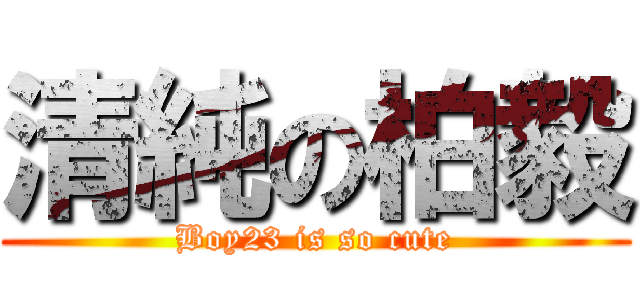 清純の柏毅 (Boy23 is so cute)