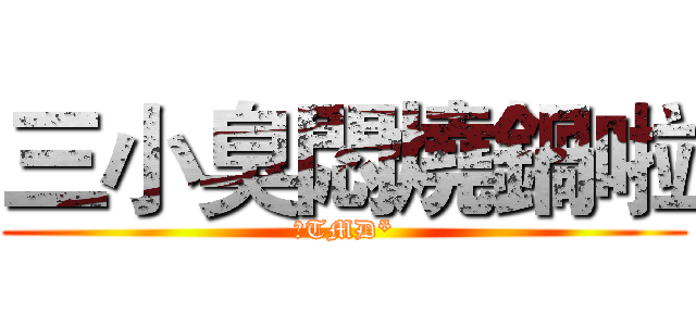 三小臭悶燒鍋啦 (ㄋTMD*)