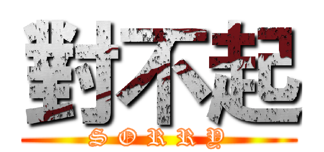 對不起 (S O R R Y)