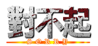 對不起 (S O R R Y)