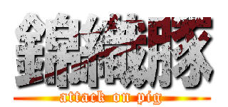 錦織豚 (attack on pig)