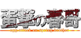 蛋撃の春哥 (egg attack on spring brother)