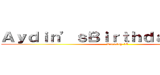 Ａｙｄｉｎ’ｓＢｉｒｔｈｄａｙＰａｒｔｙ (Turning 12)