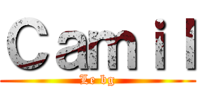 Ｃａｍｉｌ (Le bg)