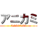 アニカミ (ANIGAMI)