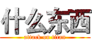 什么东西 (attack on titan)