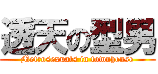 透天の型男 (Metrosexuals in townhouse)