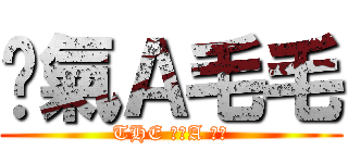 煞氣Ａ毛毛 (THE 煞氣A 帥哥)