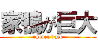 家鴨が巨大 (rubber duck)