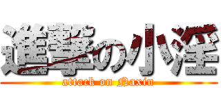 進撃の小淫 (attack on Naxin)