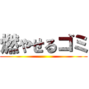 燃やせるゴミ ()