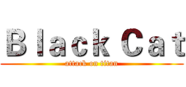 Ｂｌａｃｋ Ｃａｔ (attack on titan)