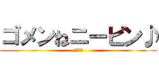 ゴメンねニーピン♪ (ニーピン)