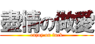 盡情の做愛 (enjoy on fuck)