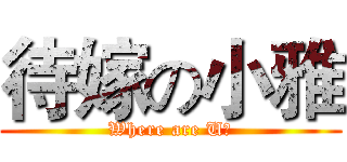 待嫁の小雅 (Where are U?)