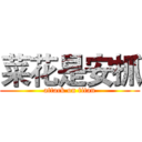 菜花是安抓 (attack on titan)