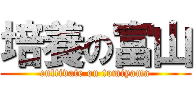 培養の富山 (cultivate on tomiyama)