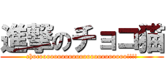 進撃のチョコ猫 (chocoooooooooooooooooooooooo!!!!)
