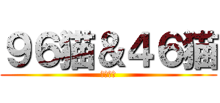 ９６猫＆４６猫 (陽炎計画)