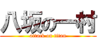 八坂の一村 (attack on titan)
