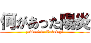 何があった陽炎 (zodiac3 is Develop?)